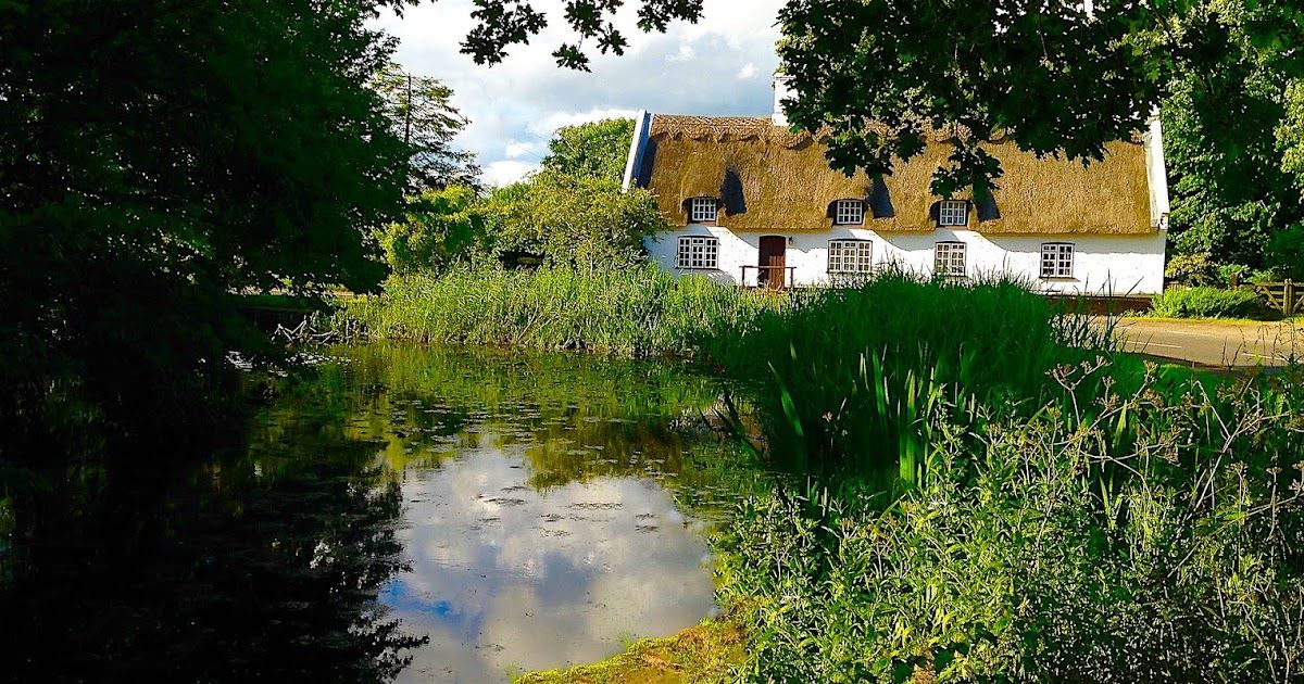 A view of a thatched cottage over looking the village pond in Woodhurst